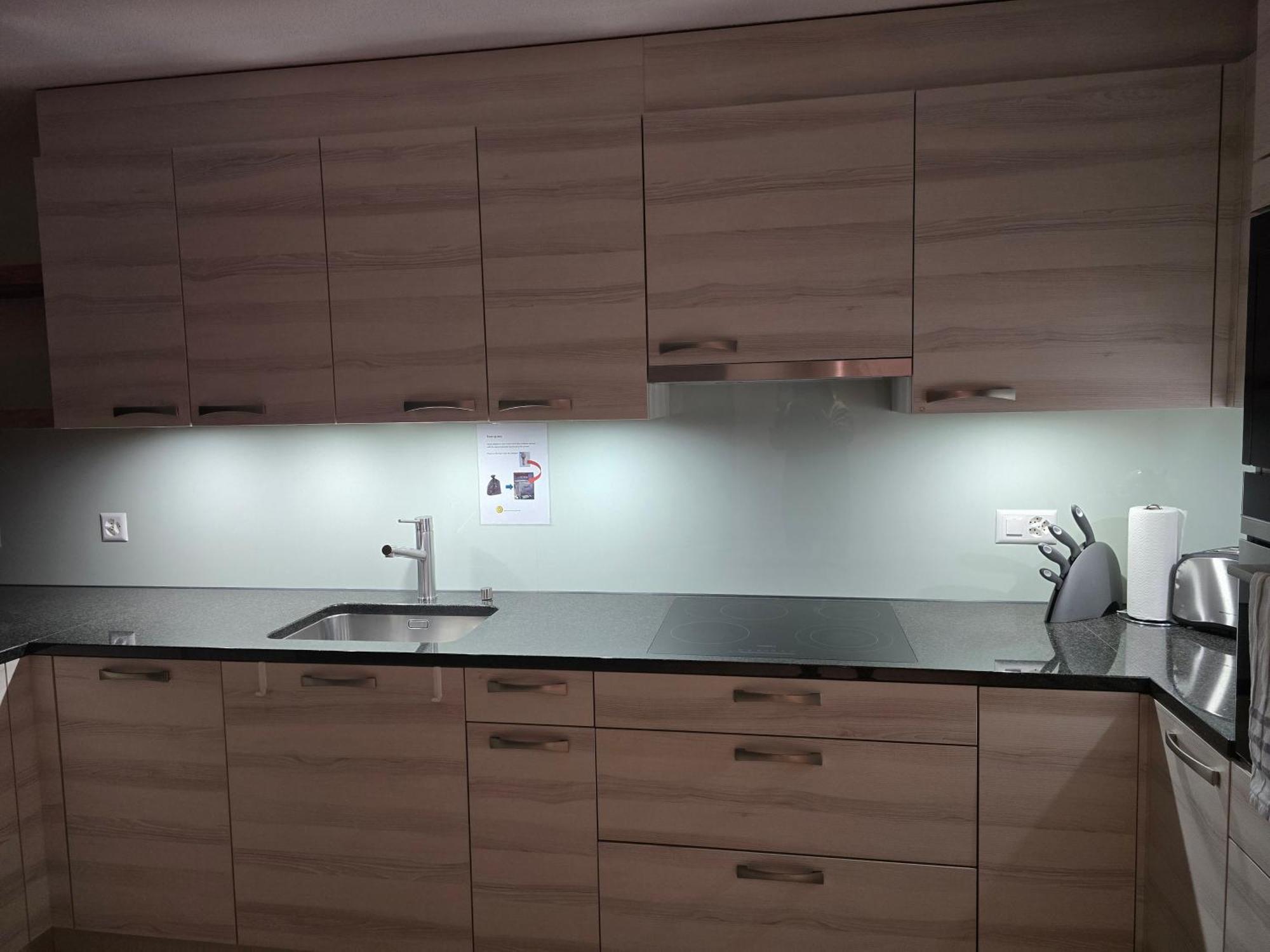 Harder Apartment - Aare Jungfrau Ag Вільдерсвіль Екстер'єр фото