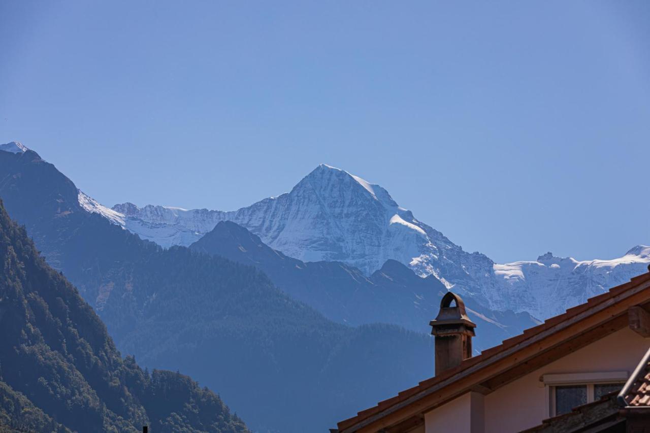 Harder Apartment - Aare Jungfrau Ag Вільдерсвіль Екстер'єр фото