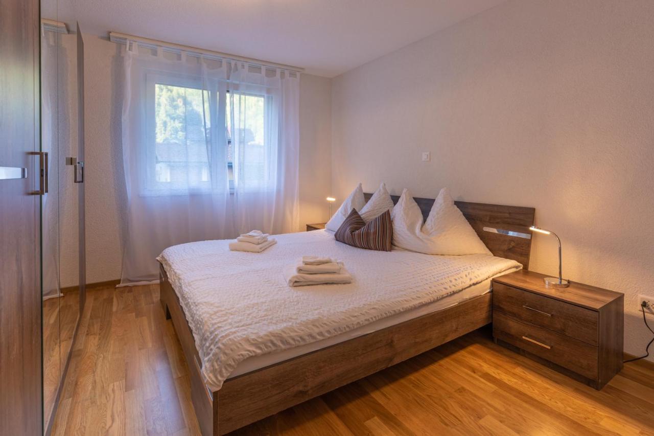 Harder Apartment - Aare Jungfrau Ag Вільдерсвіль Екстер'єр фото